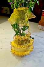 Tulsi dress
