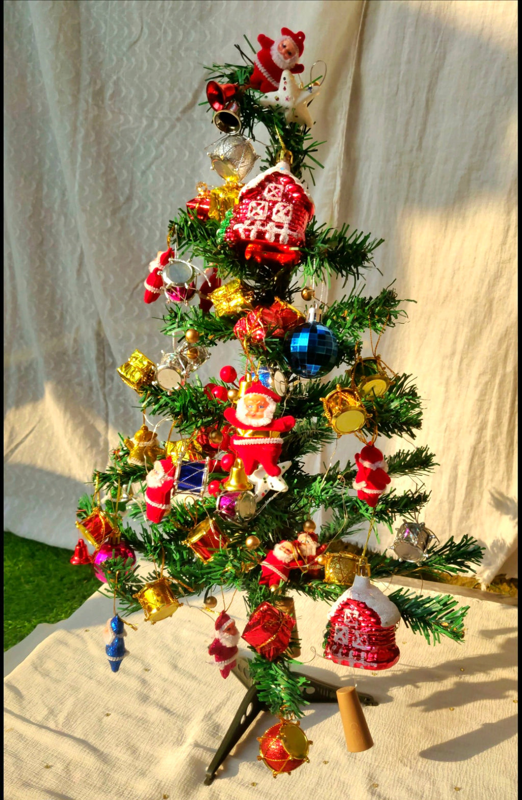 Christmas tree 🎄(without decoration)