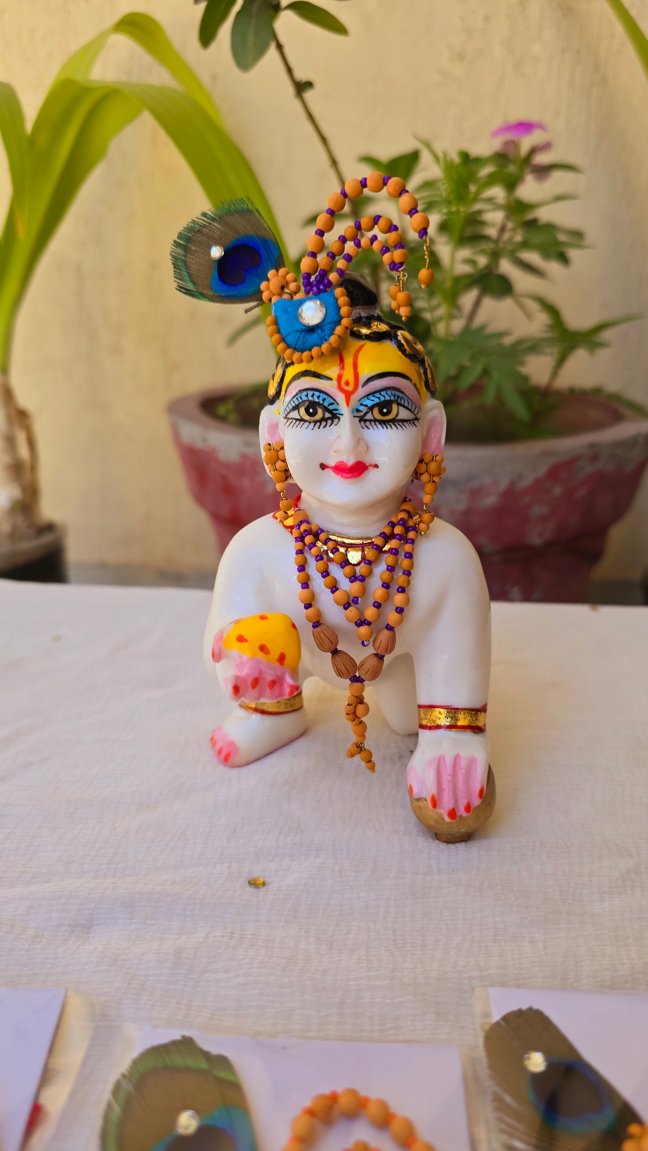 Chandan pushthi (2-7no.)