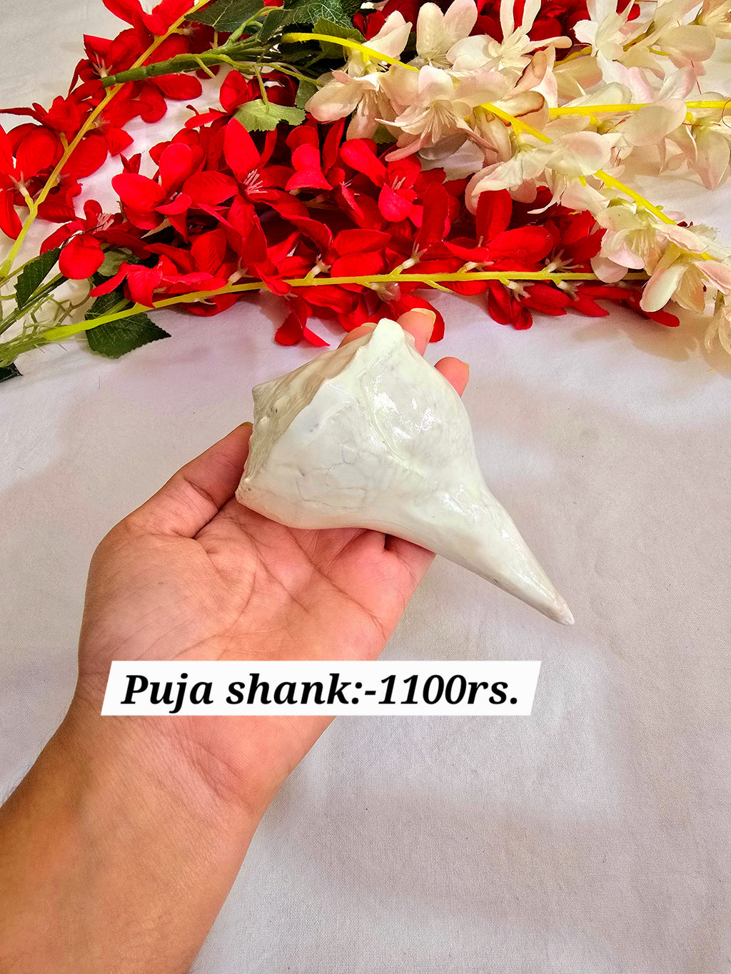 Puja shank