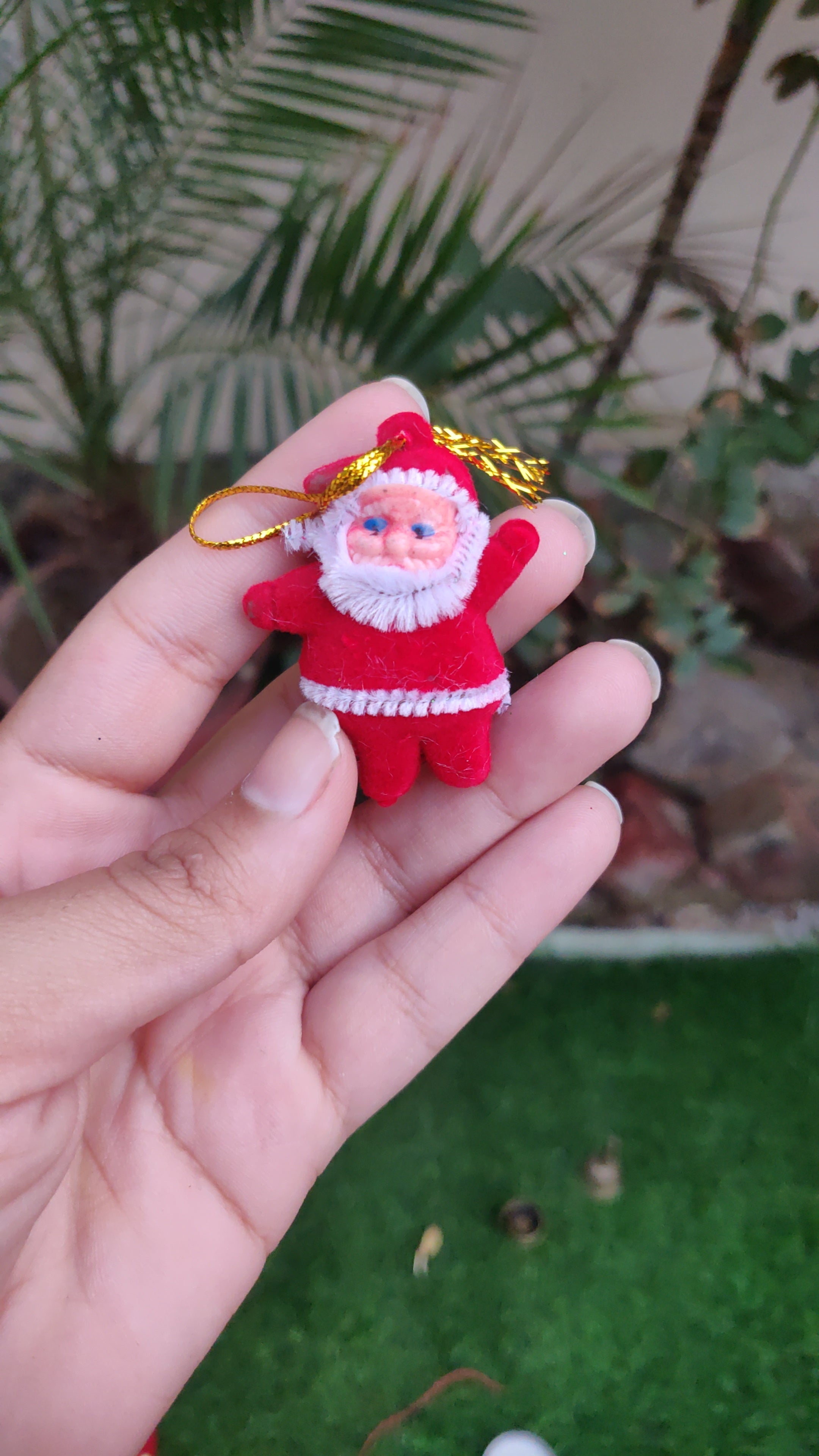Red teddy