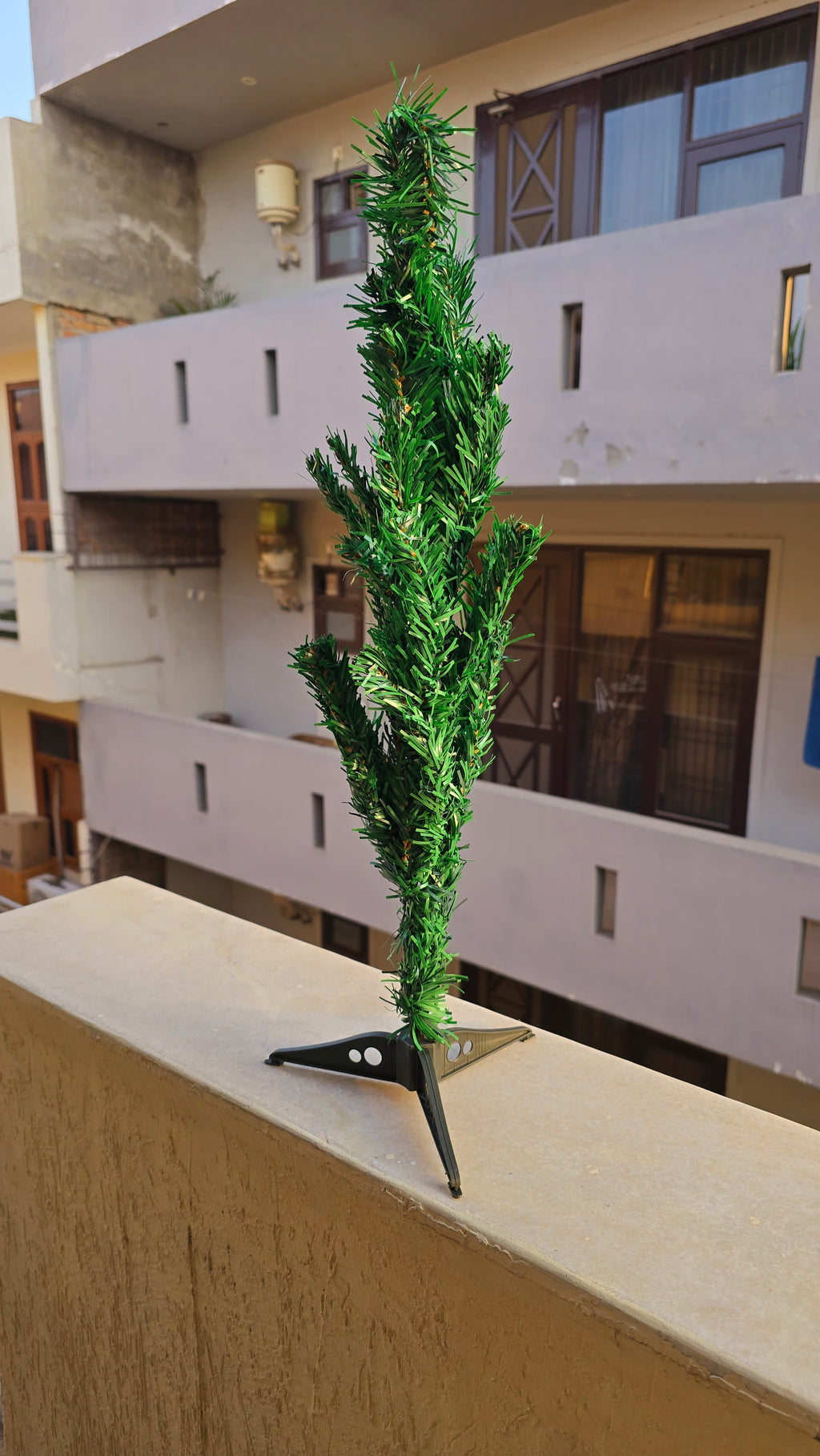 Kadamb tree🌳