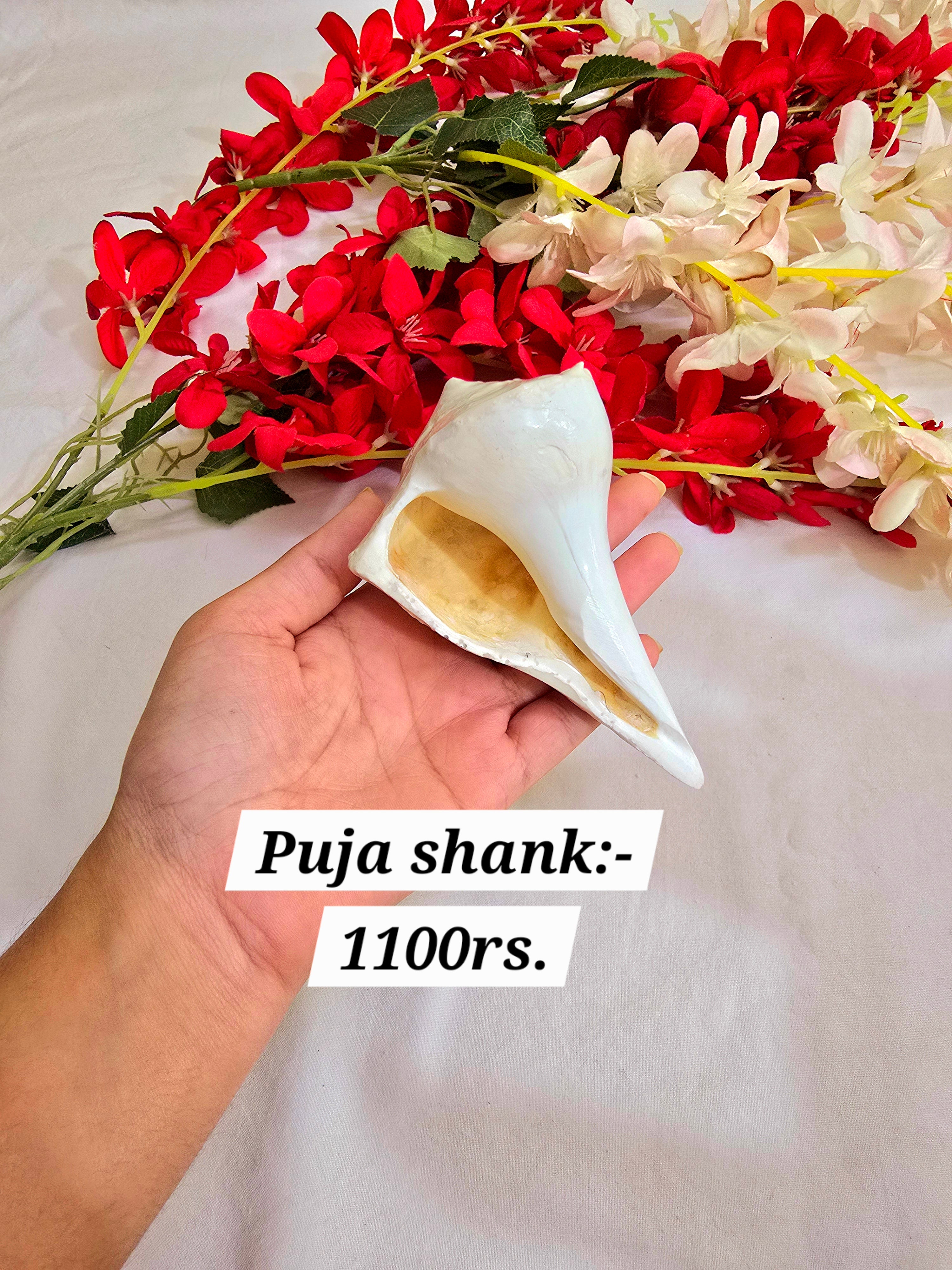 Puja shank